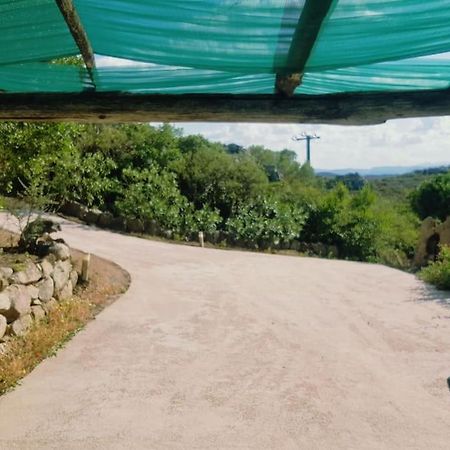 אולביה Villa Sara מראה חיצוני תמונה