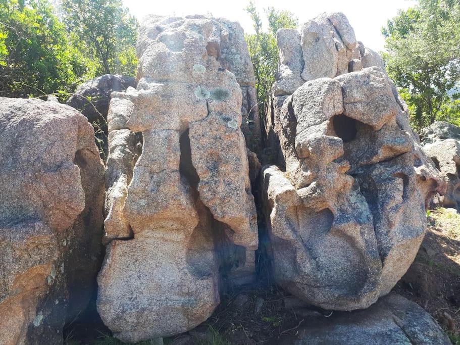 אולביה Villa Sara מראה חיצוני תמונה