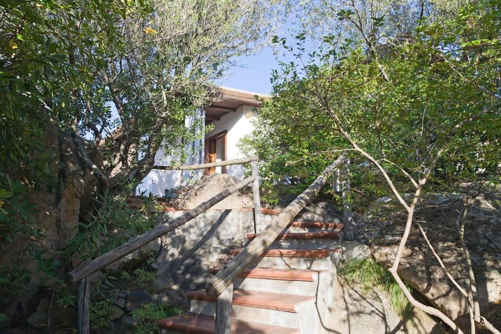 אולביה Villa Sara מראה חיצוני תמונה