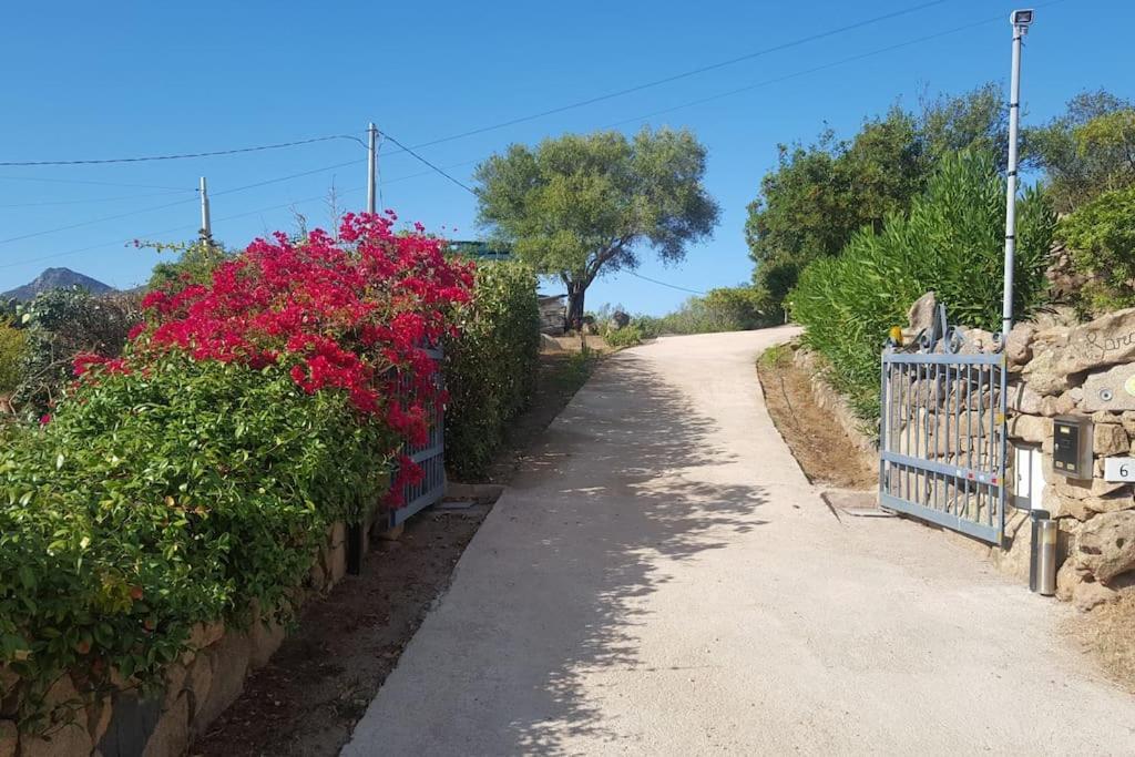 אולביה Villa Sara מראה חיצוני תמונה