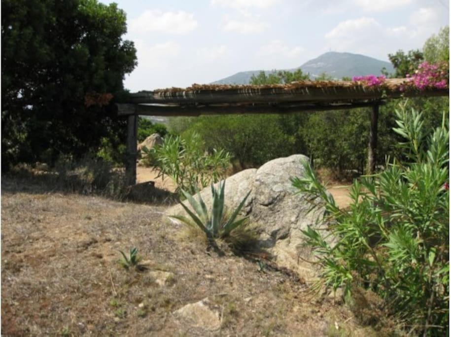 אולביה Villa Sara מראה חיצוני תמונה