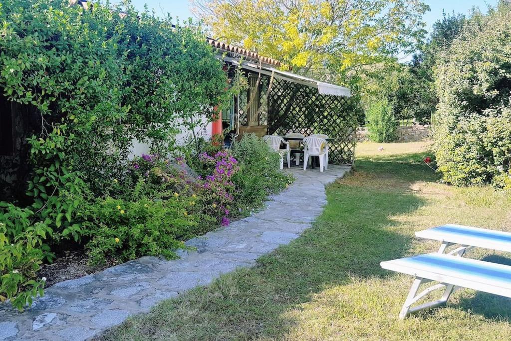 אולביה Villa Sara מראה חיצוני תמונה